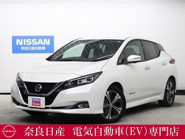 リーフ(日産) Ｇ弊社社用車プロパイ全周囲カメラ純正ナビＬＥＤライト 中古車画像