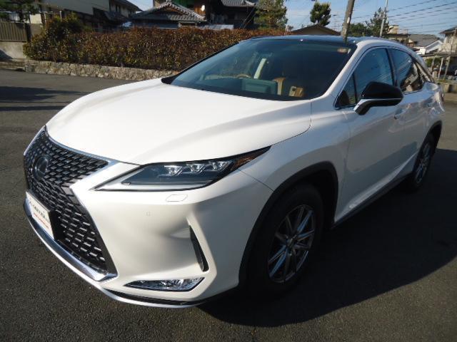 ＲＸ３００　バージョンＬ
