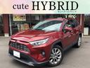 トヨタ ＲＡＶ４ Ｇ　Ｚパッケージ （なし）