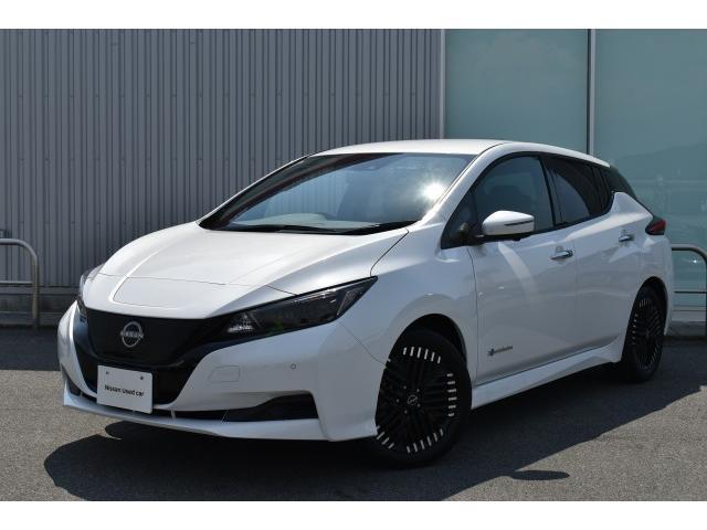 リーフ(日産) Ｘ　Ｖセレクション　純正９インチナビ　ＥＴＣ２．０　プロパイロット　アラウンドビューモニター　インテリルームミラー 中古車画像