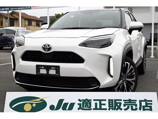 ȥ西 ꥹ ڡ᡼ǥץ쥤ǥ̣ţĥإåɥ饤ȡ졼롼ȥ