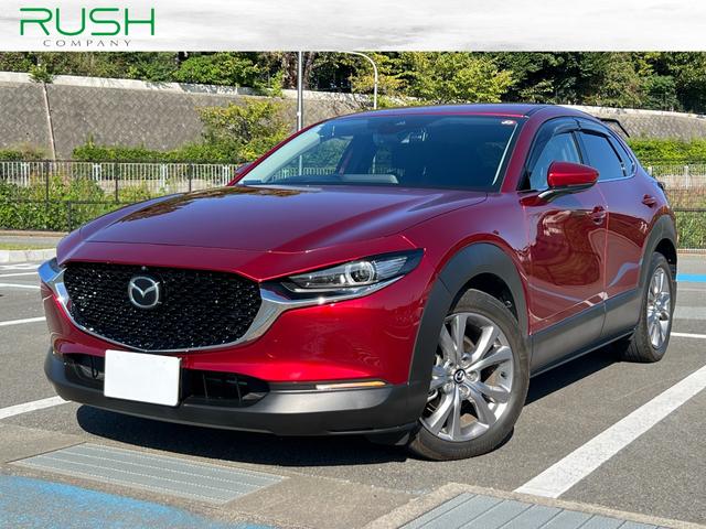 ＣＸ－３０ ＸＤ　プロアクティブ　ツーリングセレクション　３６０°セーフティパッケージ・ボーズサウンドシステム・全周囲カメラ・シートヒーター・ハンドルヒーター・スマートブレーキサポート・レーダークルーズ・パワーバックドア・衝突被害軽減システム・レーンアシスト（1枚目）