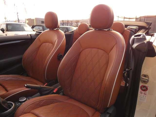 �S�ȃ��U�[�ƂȂ�܂��I