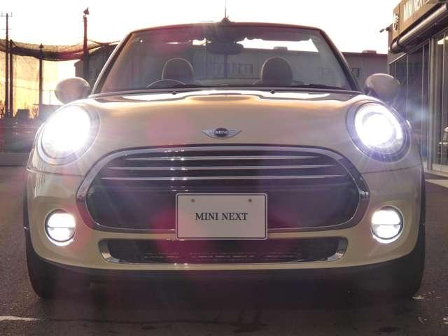 �k�d�c�w�b�h���C�g�ňÂ��铹�����S�I