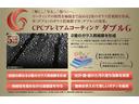 Ｆ１　ＤＣＴ　新車保証継承　Ｎｅｒｏ　Ｄａｙｔｏｎａ右Ｈ（36枚目）