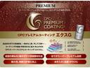 ディーラーオプションです。