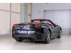 ����ե���˥����� �١������졼�ɡ�ǧ����żֱ��ϥ�ɥ�Σ���ģ�������� 9620004A30250405W004 7