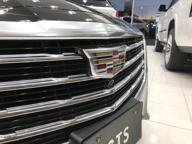 新車未登録車2019モデルブラック/モレロレッド(8枚目)