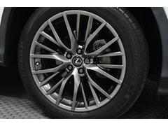 �����ۥ������������ڥۥ������ۥ����륫�С��ˤϷ�ǯ�ˤ�륭���������礬�������ޤ���������ϼָ���ʴ��ˤƸ������Ϥ��Ȥʤ�ޤ��� 7