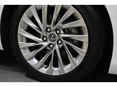 �����ۥ������������ڥۥ������ۥ����륫�С��ˤϷ�ǯ�ˤ�륭���������礬�������ޤ���������ϼָ���ʴ��ˤƸ������Ϥ��Ȥʤ�ޤ��� 7