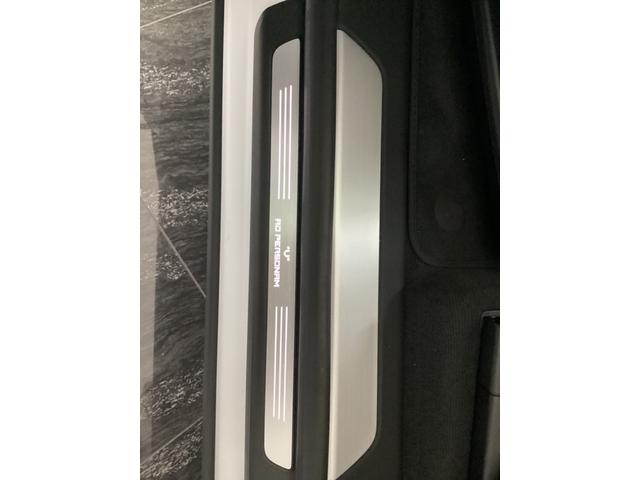 ウルス ペルフォルマンテ(14枚目)