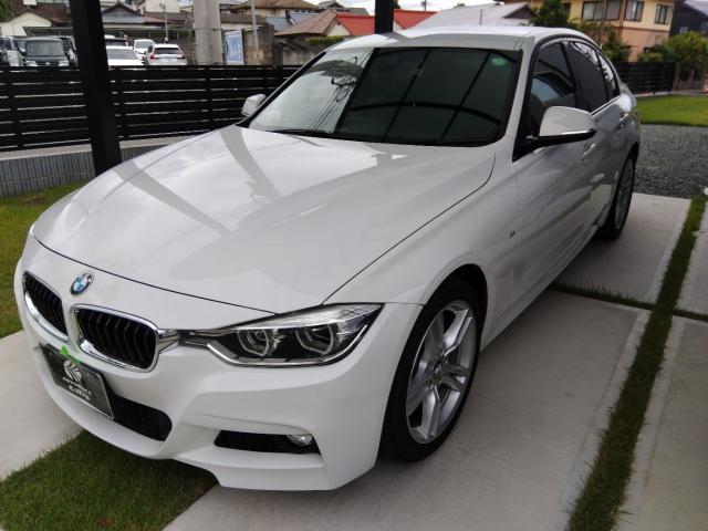 £ͣ ꡼ 䡡ͥݡġ쥹ʥ