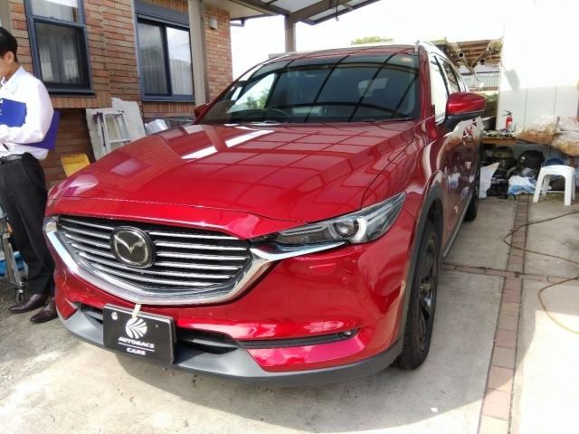 ãءݣ أġ̥ѥå󥪡ʡ롼 0402975A20251028G001 1