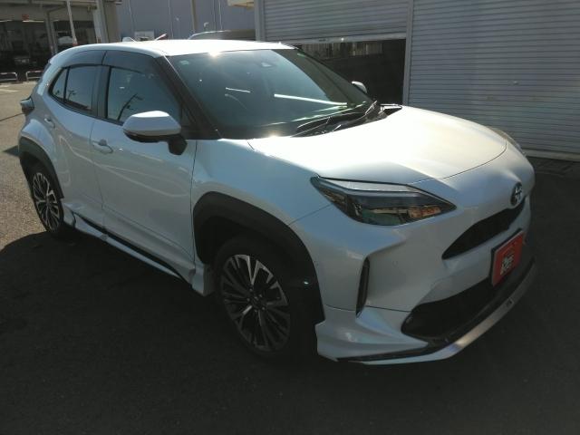 ̥Хåաǥꥹե륨͡ ʥӡԣ̣֡ţġáե륨ţԣáХå 1