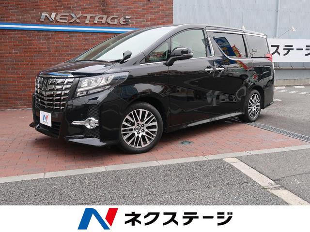 2.5S Cパッケージ メーカーナビ・両側電動スライド(1枚目)