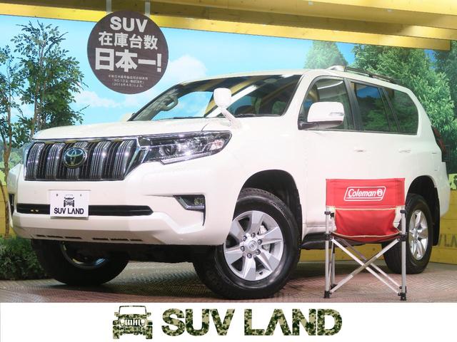 TX 4WD 登録済未使用車(1枚目)