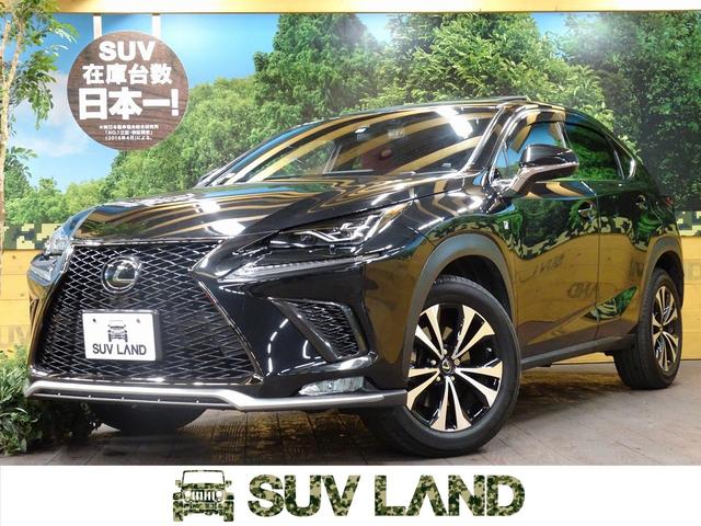 NX300 Fスポーツ メーカーナビ 衝突軽減装置 禁煙車(1枚目)