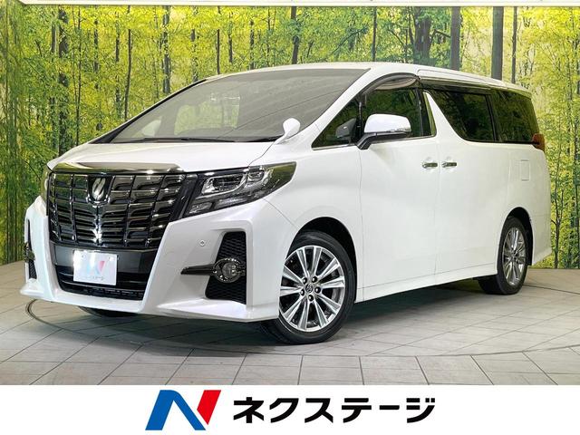 アルファード(トヨタ) ２．５Ｓ　Ａパッケージ　タイプブラック　禁煙車　ＢＩＧ−Ｘ１１型ナビ　フリップダウンモニター　両側電動スライド 中古車画像