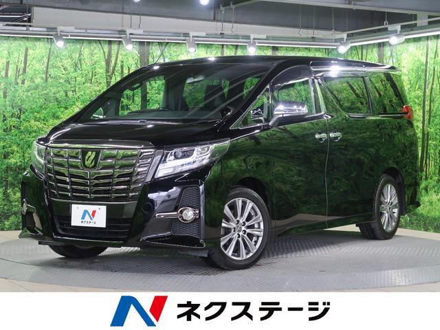 2.5S Aパッケージ タイプブラック フリップダウンモニター 純正9インチナビ バックカメラ 両側電動スライドドア パワーバックドア リアオートエアコン クルーズコントロール LEDヘッドライト フルセグ Bluetooth再生(1枚目)