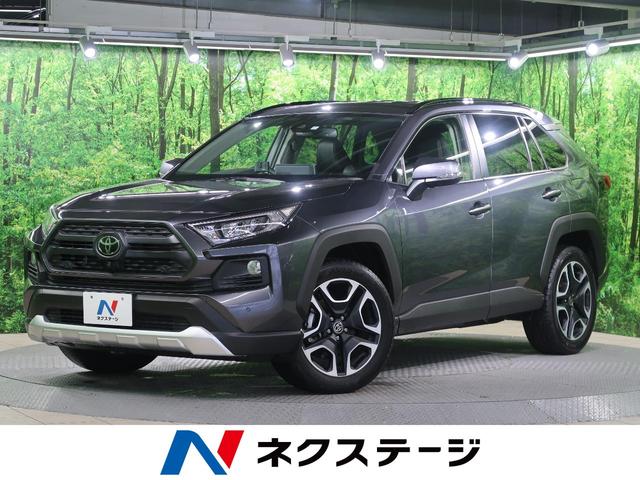 アドベンチャー 純正ディスプレイオーディオ レーダークルーズコントロール ブラインドスポットモニター グレード専用純正19インチアルミホイール デュアルオートエアコン トヨタセーフティーセンス ETC(1枚目)