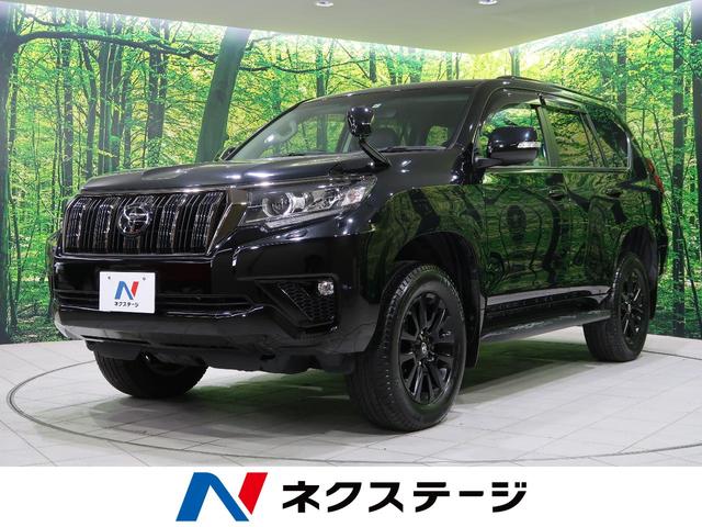 れなし】 プラド ブラックエディション専用ルーフレール vneGx