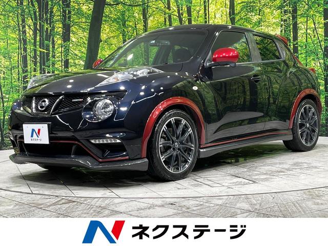 Yoshiyuki ラン様専用 ジュークニスモ ルーフサイドスポイラー