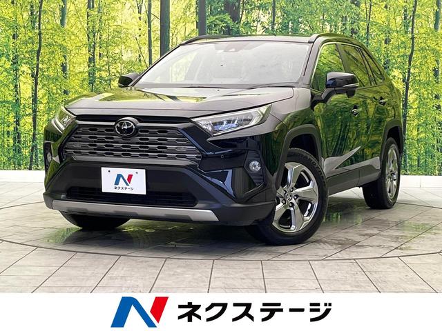 トヨタ ＲＡＶ４ Ｇ　純正ナビ　プリクラッシュセーフティ　レーントレーシングアシスト　レーダークルーズ　インテリジェントクリアランスソナー　ブラインドスポットモニター　パワーバックドア　パワーシート　シートヒーター