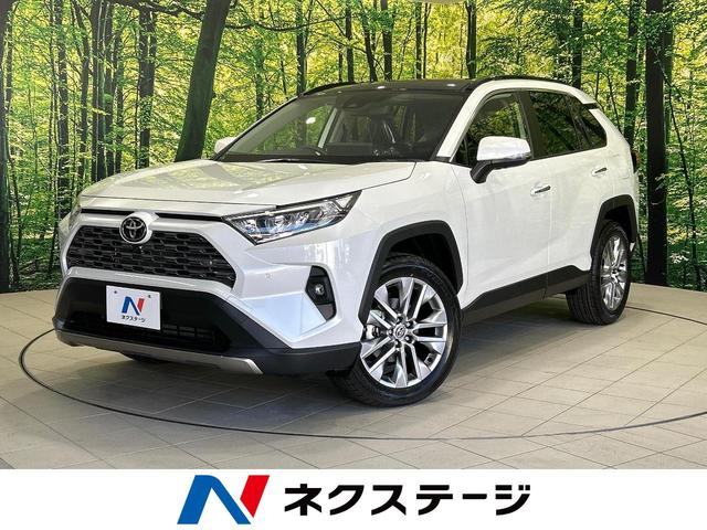 ＲＡＶ４(トヨタ) Ｇ　Ｚパッケージ　純正１０型ＤＡ　サンルーフ　登録済未使用車　全周囲カメラ　衝突軽減装置 中古車画像