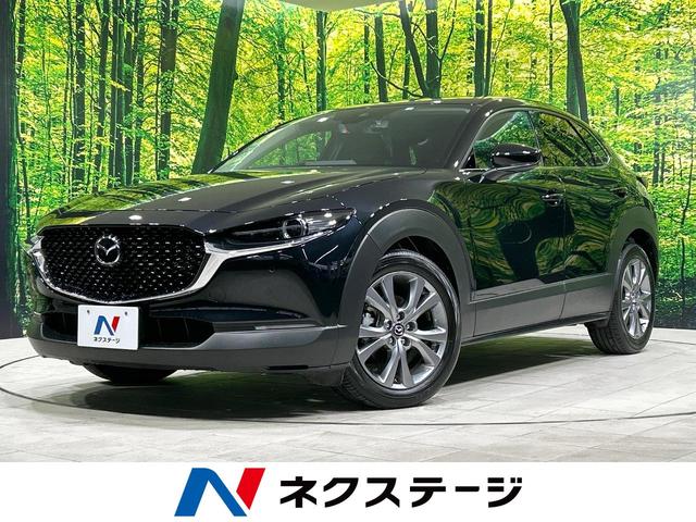 ＣＸ−３０(マツダ) ２０Ｓ　プロアクティブ　ツーリングセレクション　禁煙車　メーカーナビ　全周囲カメラ　フルセグＴＶ 中古車画像