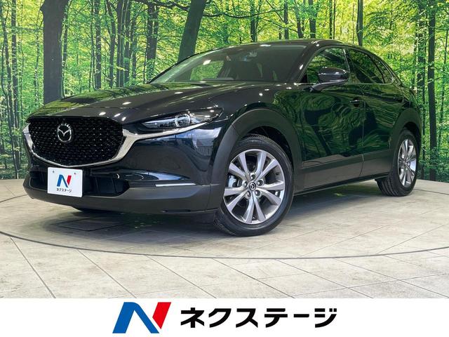 ＣＸ－３０ ２０Ｓ　プロアクティブ　ツーリングセレクション　ｉ－ＡＣＴＩＶＥＳＥＮＳＥ　禁煙車　マツダコネクト　全周囲カメラ　アダプティブクルーズ　Ｂｌｕｅｔｏｏｔｈ　フルセグ　ＥＴＣ　ドラレコ　前席シートヒーター　ＬＥＤヘッド　ＬＥＤフォグ　パワーバックドア（1枚目）