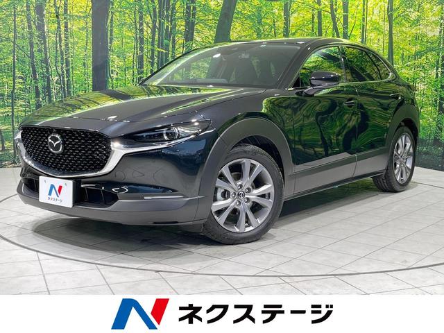 CX-30（マツダ）２０Ｓ　プロアクティブ　ツーリングセレクション　８．８型マツダコネクトナビ　全周囲カメラ　衝突軽減　レーダークルコン　レーンキープアシスト　パワーバックドア　ステアリングヒーター　シートヒーター　メモリー機能付パワーシート　ＬＥＤヘッド　禁煙車 中古車画像