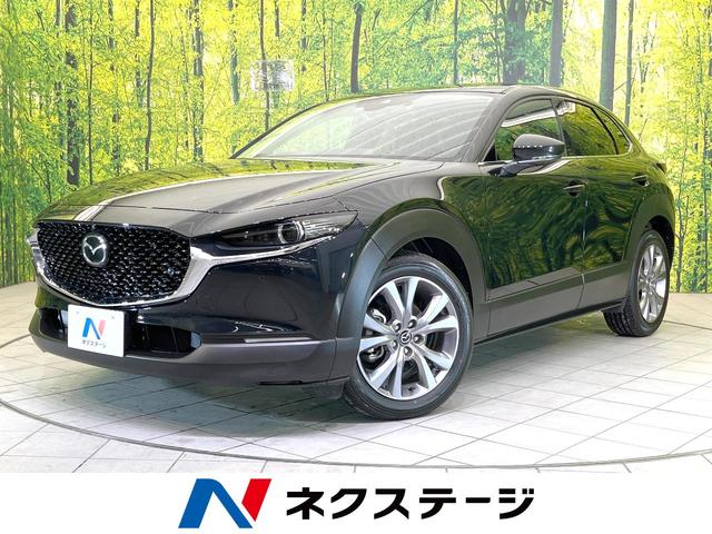 ＣＸ−３０(マツダ) ２０Ｓ　プロアクティブ　ツーリングセレクション　禁煙車　衝突軽減　全周囲カメラ　純正ナビ 中古車画像