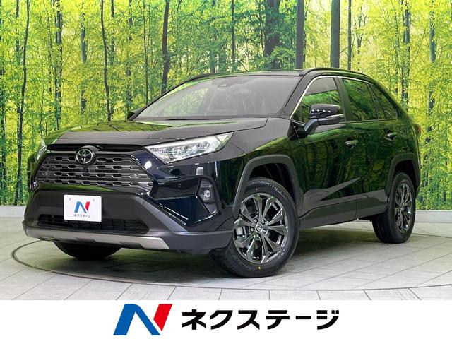 トヨタ ＲＡＶ４ Ｇ　禁煙車　パノラミックビューモニター　１０．５インチディスプレイオーディオ　セーフティセンス　パワーバックドア　Ｂｌｕｅｔｏｏｔｈ再生　レーダークルーズコントロール　パワーシート　ＬＥＤヘッドライト