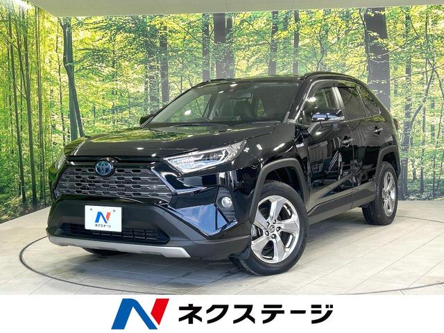 トヨタ ＲＡＶ４ ハイブリッドＧ　純正９型ナビ　４ＷＤ　衝突軽減　レーダークルーズ　パワーシート　パワーバックドア　バックカメラ　　純正１８アルミ　ＬＥＤヘッド　フォグ　コーナーセンサー　ハンドルヒーター　スマートキー　ＥＴＣ