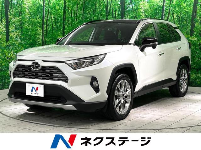 ＲＡＶ４(トヨタ) Ｇ　Ｚパッケージ　サンルーフ　禁煙車　衝突軽減装置　純正９型ナビ　バックカメラ 中古車画像