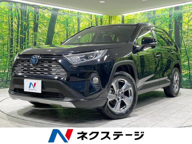 トヨタ ＲＡＶ４ ハイブリッドＧ　禁煙車　４ＷＤ　ムーンルーフ　パワーバックドア　衝突被害軽減装置　レーダークルーズ　純正９型ナビ　フルセグＴＶ　Ｂｌｕｅｔｏｏｔｈ再生　クリアランスソナー　シートヒーター　運転席パワーシート　ＥＴＣ