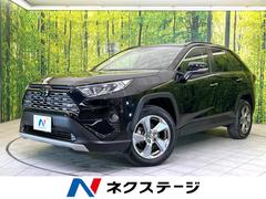 トヨタ　ＲＡＶ４　Ｇ　純正９型ナビ　全周囲カメラ　パワーバックドア