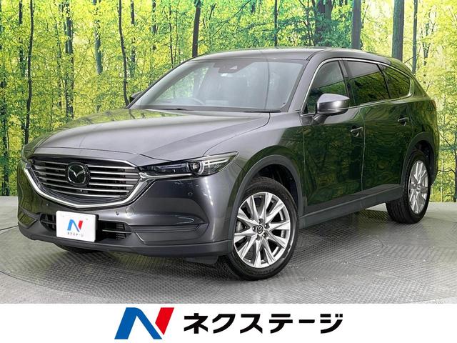 ＣＸ－８ ＸＤプロアクティブ　純正コネクトナビ　全周囲カメラ　禁煙車　衝突被害軽減装置　ブラインドスポットモニター　スマートキー＆プッシュスタート　パワーシート　シートヒーター　レーダークルーズコントロール　ＬＥＤヘッドライト