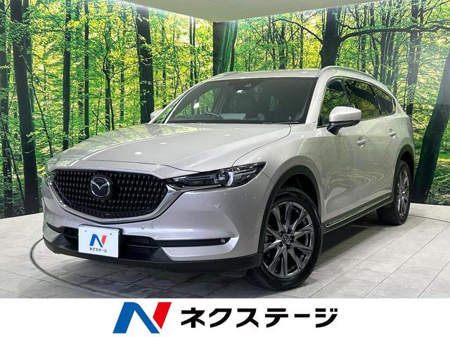 マツダ ＣＸ－８ ＸＤ　Ｌパッケージ　禁煙車　レーダークルーズコントロール　１０．２５マツダコネクトナビ　リアオートエアコン　パドルシフト　パワーシート　デュアルエアコン　ステアリングヒーター　ＥＴＣ　ＬＥＤヘッドライト　車線逸脱警報