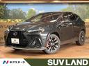 ＮＸ　愛知県 メーカー１４型ナビ　パノラミックビューモニター　デジタルインナーミラー