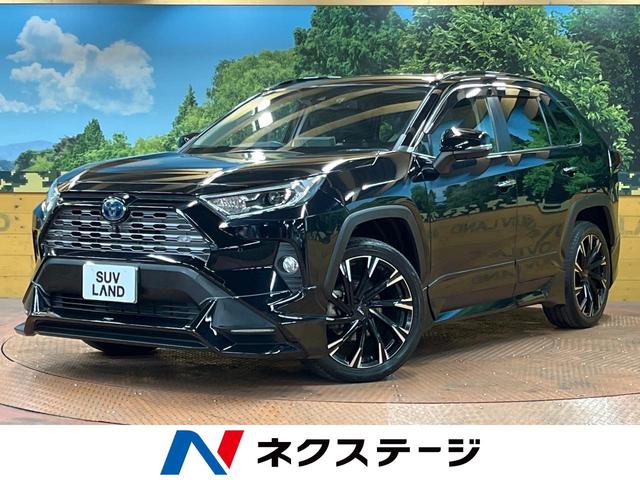 ＲＡＶ４(トヨタ) ハイブリッドＧ　禁煙車　ＴＲＤエアロ　ＴＲＤアルミホイール　全周囲カメラ　純正ナビ　フルセグ 中古車画像