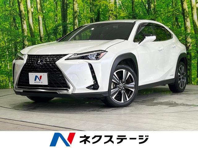 沖縄県の中古車ならＵＸ ＵＸ２５０ｈ　バージョンＬ　１０．３型メーカーナビ　パノラミックビューモニター　メモリー機能付きパワーシート　パワーバックドア　シートベンチレーション　３眼ＬＥＤ　禁煙車　トヨタセーフティーセンス　レーダークルーズ