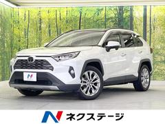 トヨタ　ＲＡＶ４　Ｇ　Ｚパッケージ　４ＷＤ　パノラマムーンルーフ