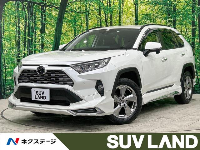 トヨタ ＲＡＶ４ Ｇ　モデリスタエアロ　純正ナビ　バックカメラ