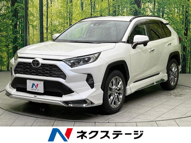 トヨタ ＲＡＶ４ Ｇ　Ｚパッケージ　モデリスタエアロ　純正９型ナビ