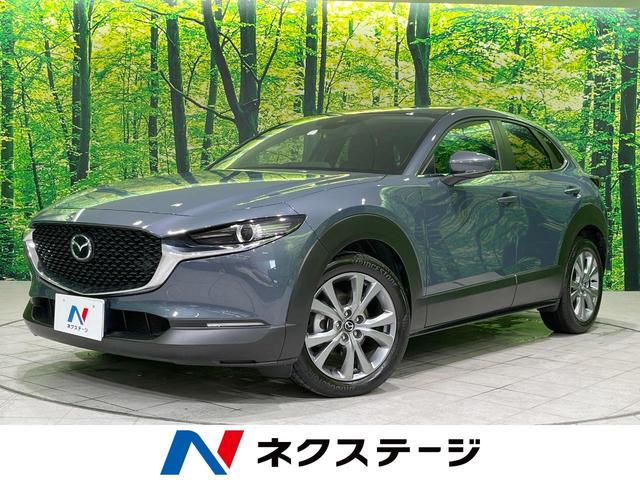 ＣＸ－３０ ２０Ｓ　マツダコネクトナビ　バックカメラ　フルセグ　Ｂｌｕｅｔｏｏｔｈ接続　ＥＴＣ　ＬＥＤヘッド　レーダークルーズ　オートブレーキホールド　リアパーキングセンサー　純正１８インチアルミ　アイドリングストップ（1枚目）