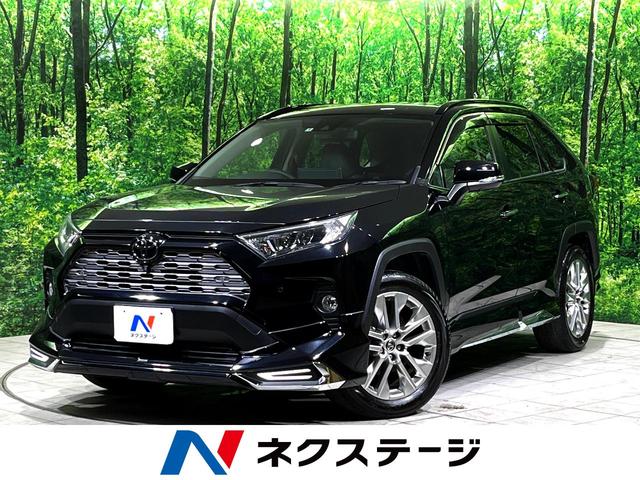 ＲＡＶ４　群馬県 禁煙車　４ＷＤ　衝突軽減装置　純正９型ＳＤナビ