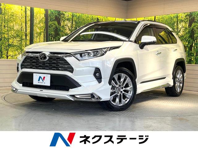 トヨタ ＲＡＶ４ Ｇ　Ｚパッケージ　モデリスタエアロ　サンルーフ　純正８型ディスプレイオーディオ　バックカメラ　デジタルインナーミラー　シートベンチレーション　パワーシート　パワーバックドア　ダウンヒルアシスト　ＥＴＣ