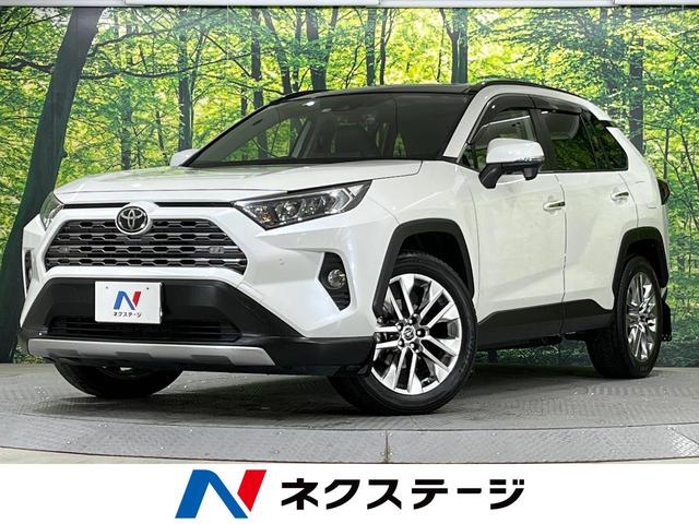 トヨタ ＲＡＶ４ Ｇ　Ｚパッケージ　禁煙車　サンルーフ　純正ＳＤナビ　Ｂｌｕｅｔｏｏｔｈ再生　フルセグ　バックカメラ　ドラレコ　シートヒーター　パワーシート　ＬＥＤヘッド　レーダークルーズコントロール　クリアランスソナー　スマートキー