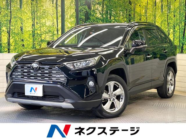 トヨタ ＲＡＶ４ Ｇ　セーフティセンス　純正９型ナビ　バックカメラ　ブラインドスポットモニター　レーダークルーズ　電動リアゲート　パワーシート　シートヒーター　ステアリングヒーター　ＬＥＤヘッド　純正１８インチアルミ